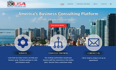 Business Consultants USA